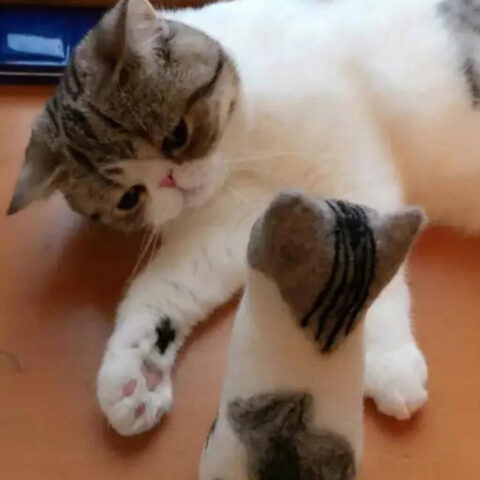 Stop Scrolling – This Is The One: Custom Handmade Wool Needle Felted Cat Body, Cat
