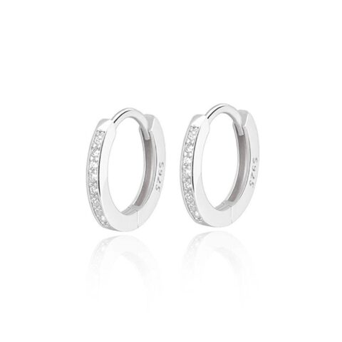 Exquisite Earrings Silver