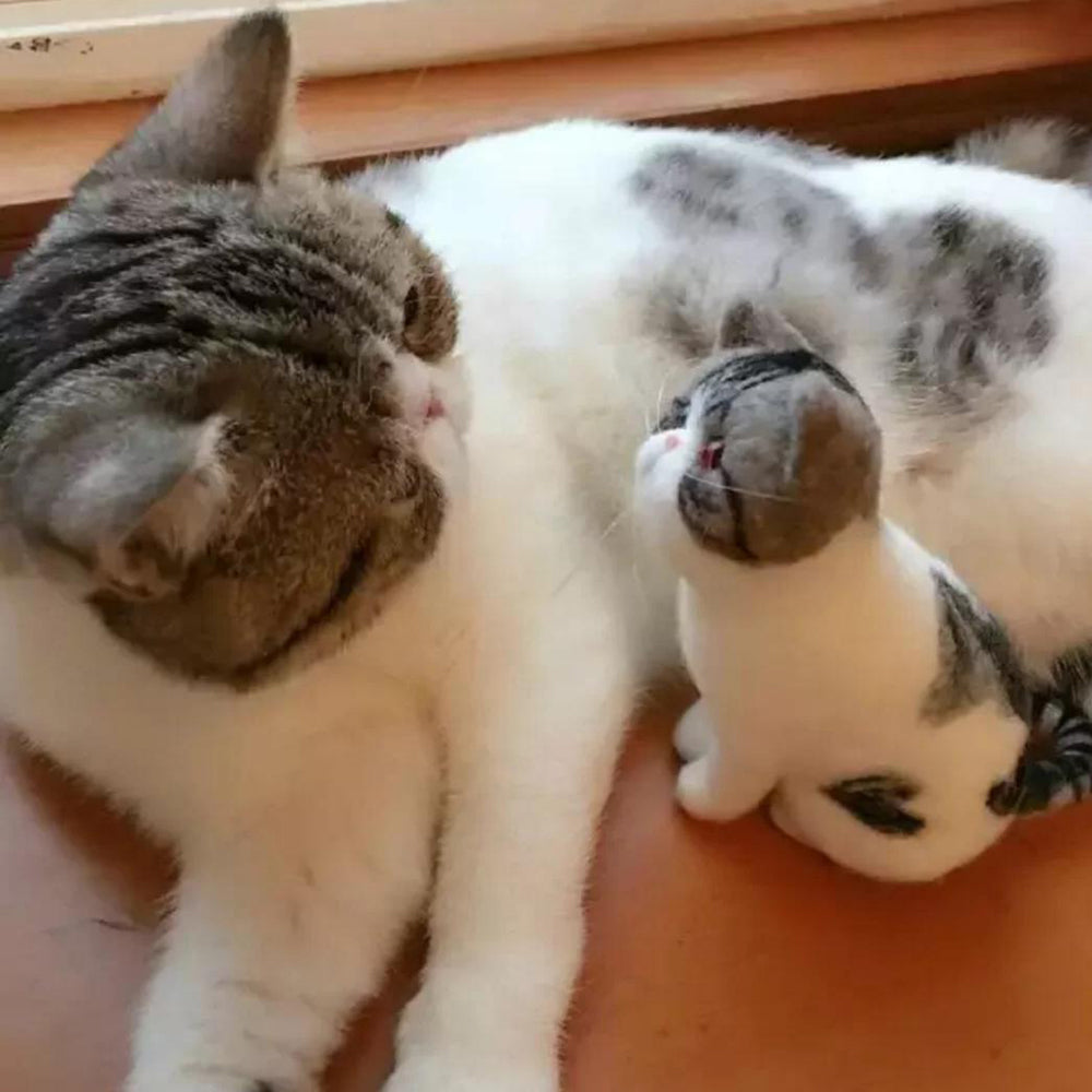 Stop Scrolling – This Is The One: Custom Handmade Wool Needle Felted Cat Body, Cat