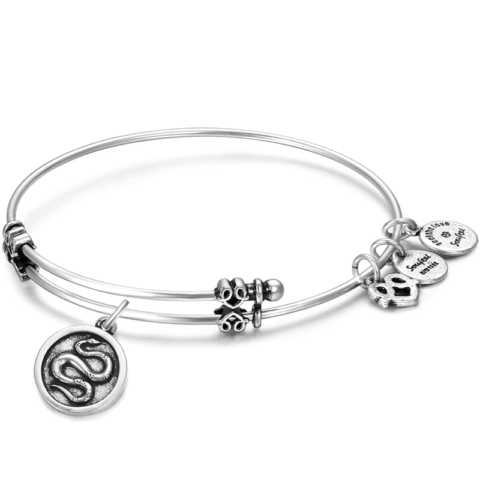 Snake Charm Bangle