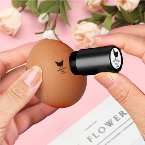 Custom Egg Stamp with Personalized Pattern and Text Gift for Family