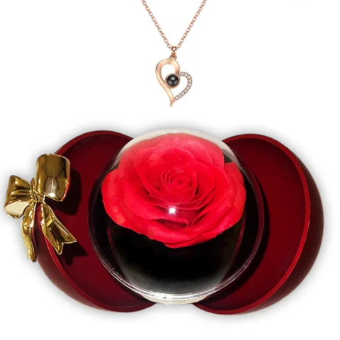 The photo they will never have to put away: Projection Necklace & Rose Gift Sphere