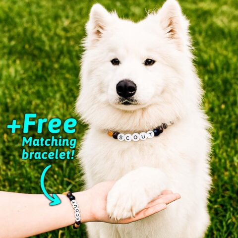 Personalized Name Beaded Pet Collar –Custom Dog Necklace for Your Furry