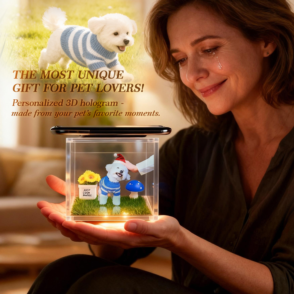 Personalized Pet Holograms House Holographic Memorial Ornament Cherish Your Pet’s Memory