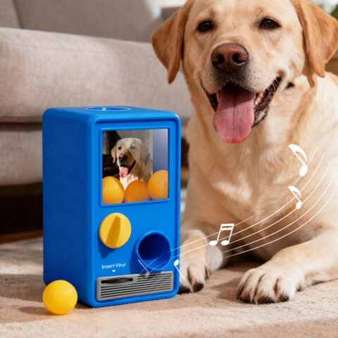 Personalized Music and Photo Music Gachapon Machine Custom Song Mini Record