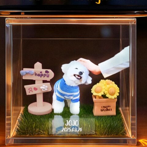 Personalized Pet Holograms House Holographic Memorial Ornament Cherish Your Pet’s Memory